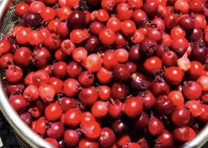 ジューンベリーの効果 効能 レシピ 選び方 保存法 旬な果物 木の実